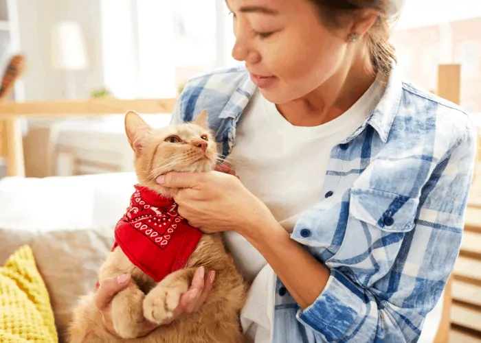 Cat trying to communicate with its lady owner