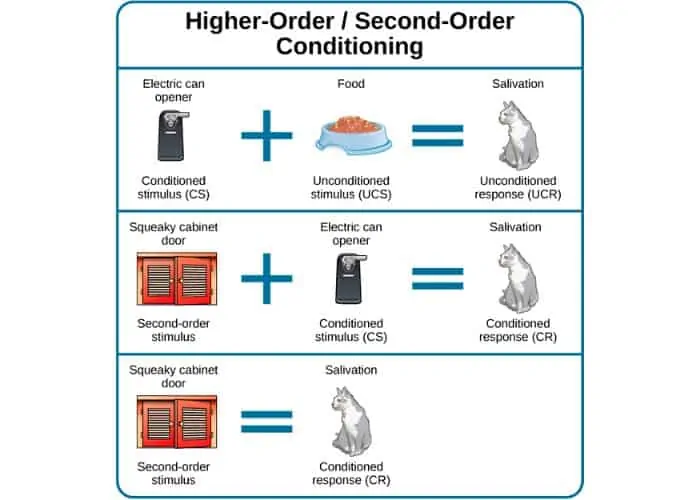 Pavlov classical conditioning illustration