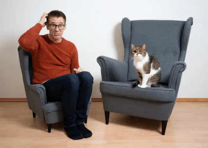 confused owner and his cat sitting on the lounge chairs