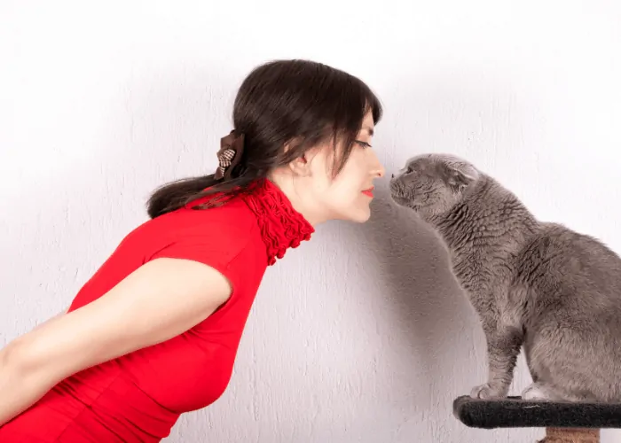 owner and cat looking at each other eye to eye