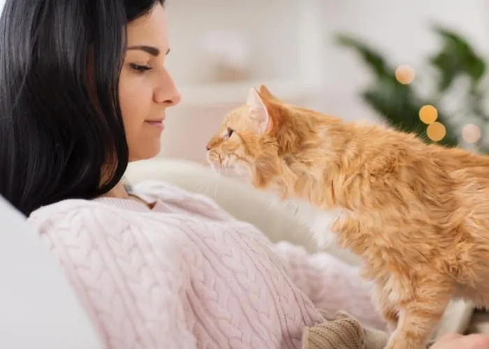 cat looking at owner's face