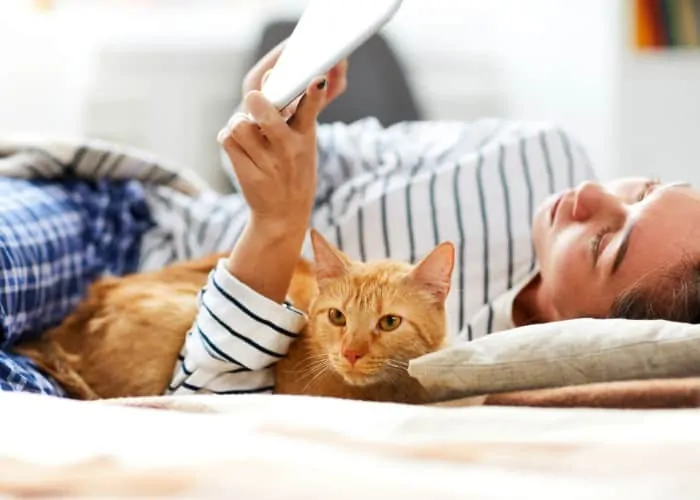 cat lying beside lady in bed 