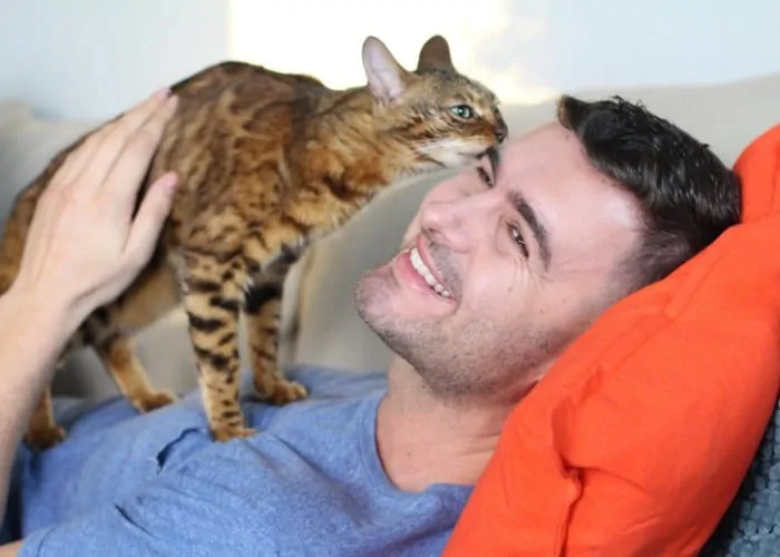 happy cat getting on owner's face