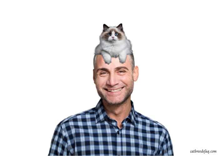 cat sitting on a man's head 