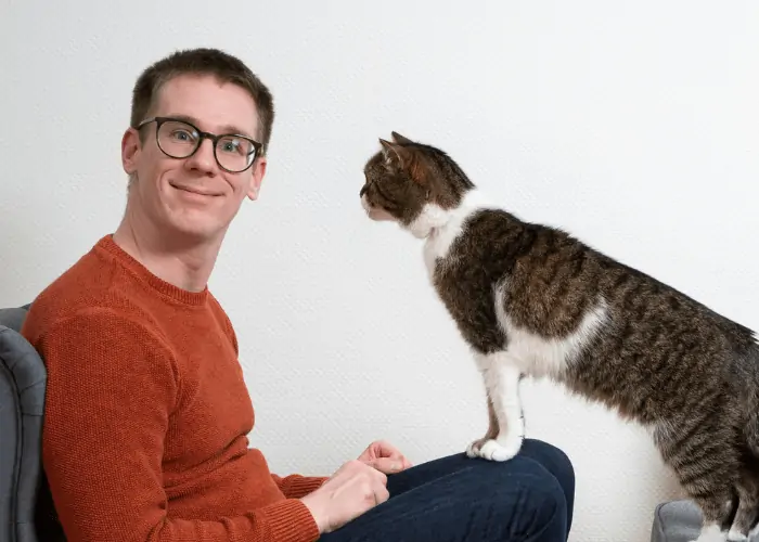 cat reaching for owner's left ear