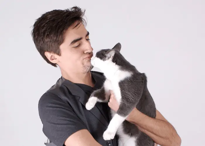 cat sniffing owner's face