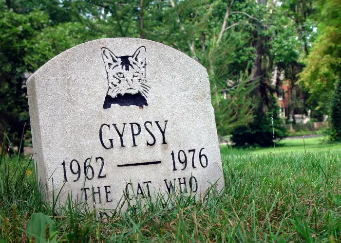 dead cat named gypsy tombstone 